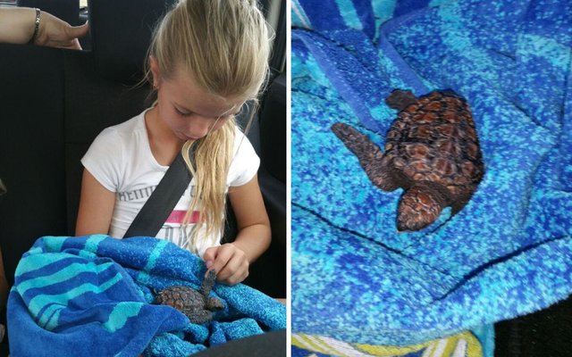 Kylie Campbell caring for Rosie the turtle on her lap (nsri.org.za â€œNewsâ€)